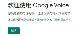 google voice 购买平台